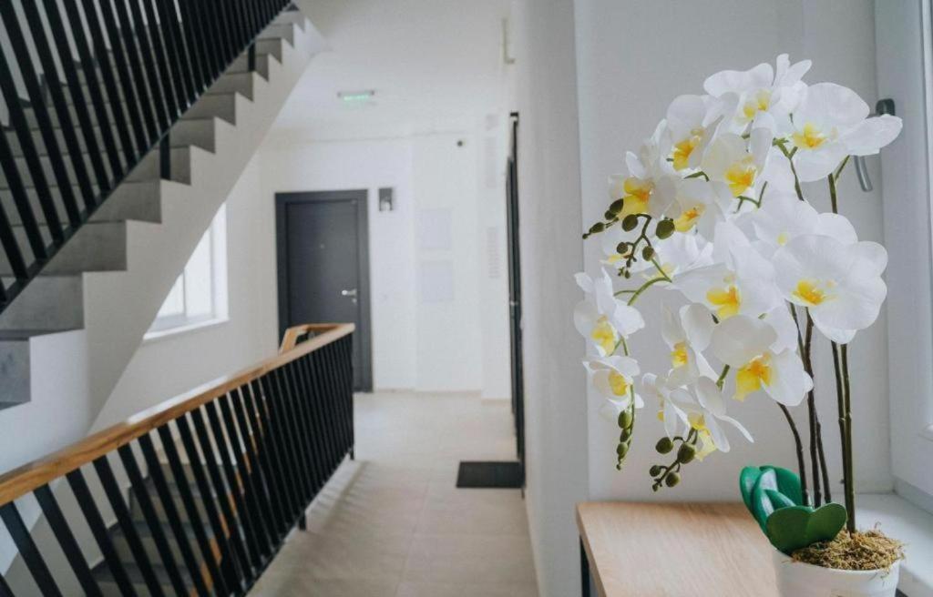 Charlotte Apartment - 2Bedrooms W Parking Near Nymphaea Oradea Ngoại thất bức ảnh